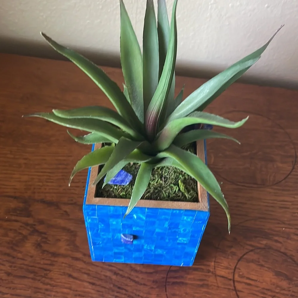 Faux succulent in deep blue dyed shell mosaic cube.